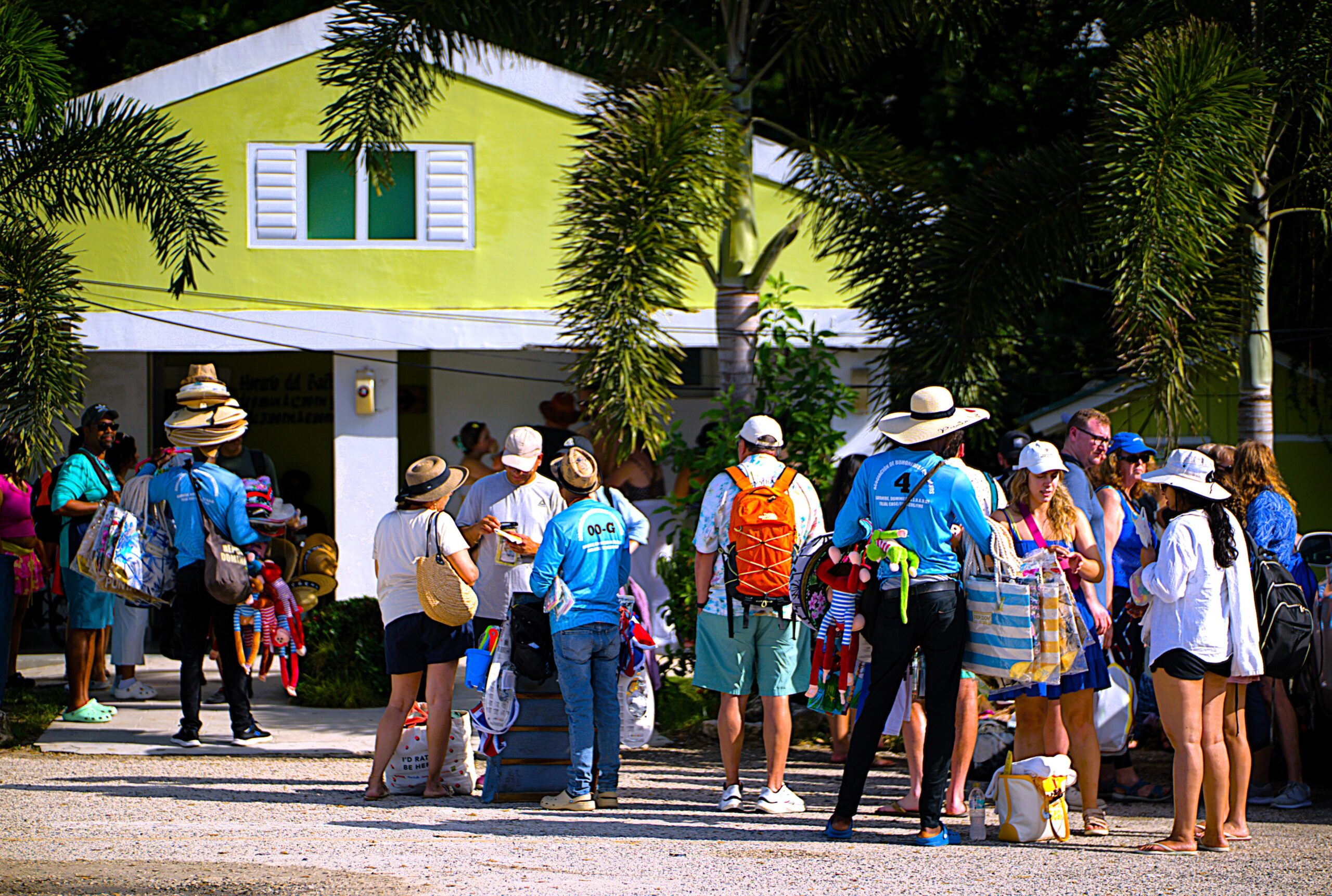 Isla Saona Mangroves: The Hidden Ecosystem of the Island