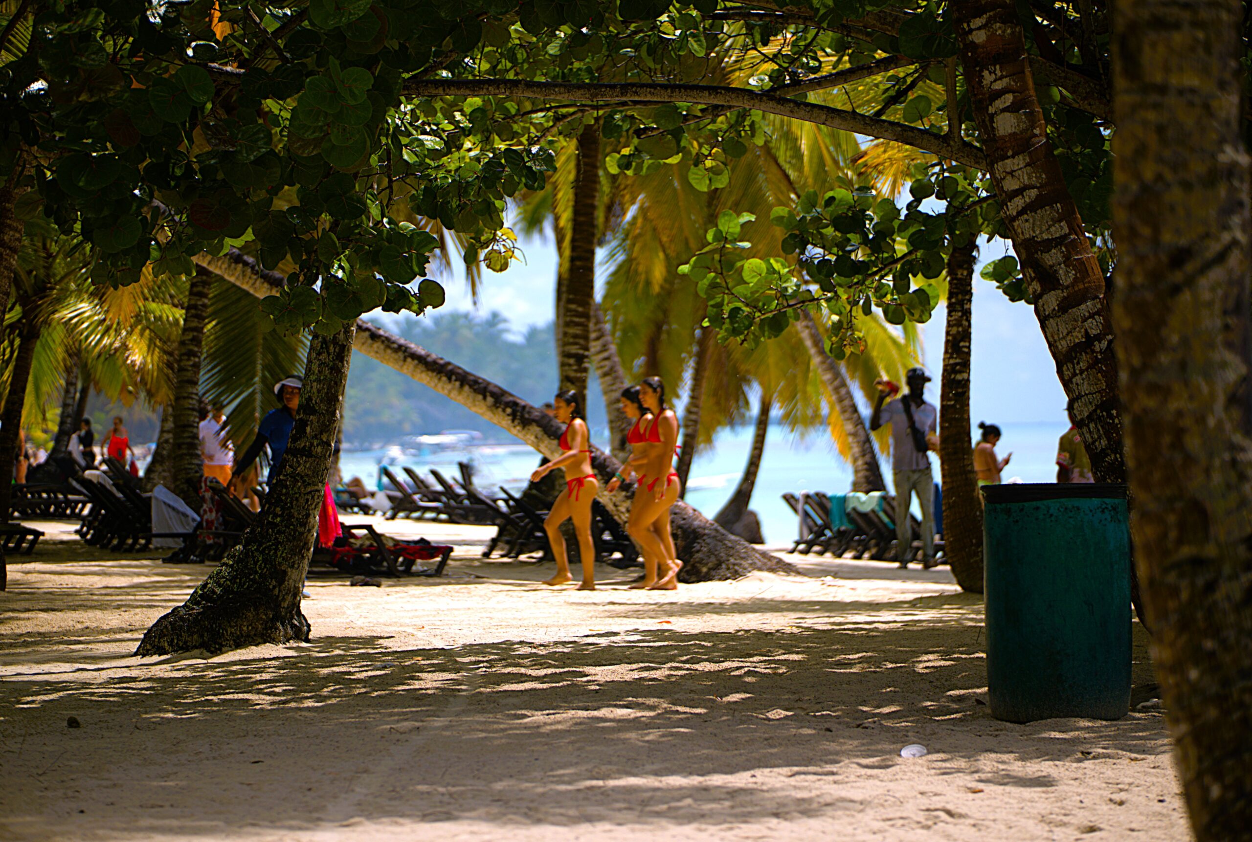 Saona Island Day Trip From Punta Cana