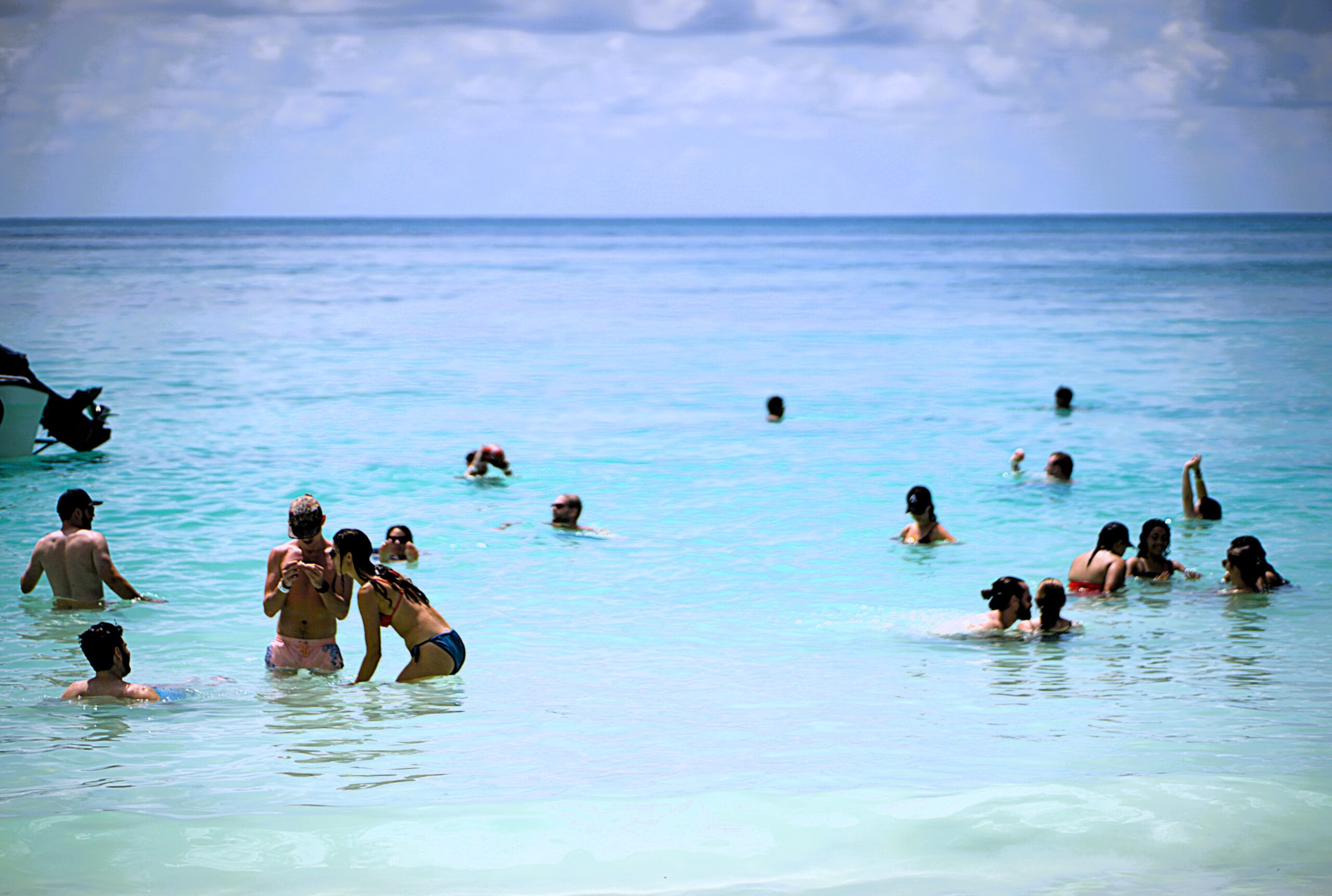 Isla Saona Mangroves: Hidden Ecosystem Guide