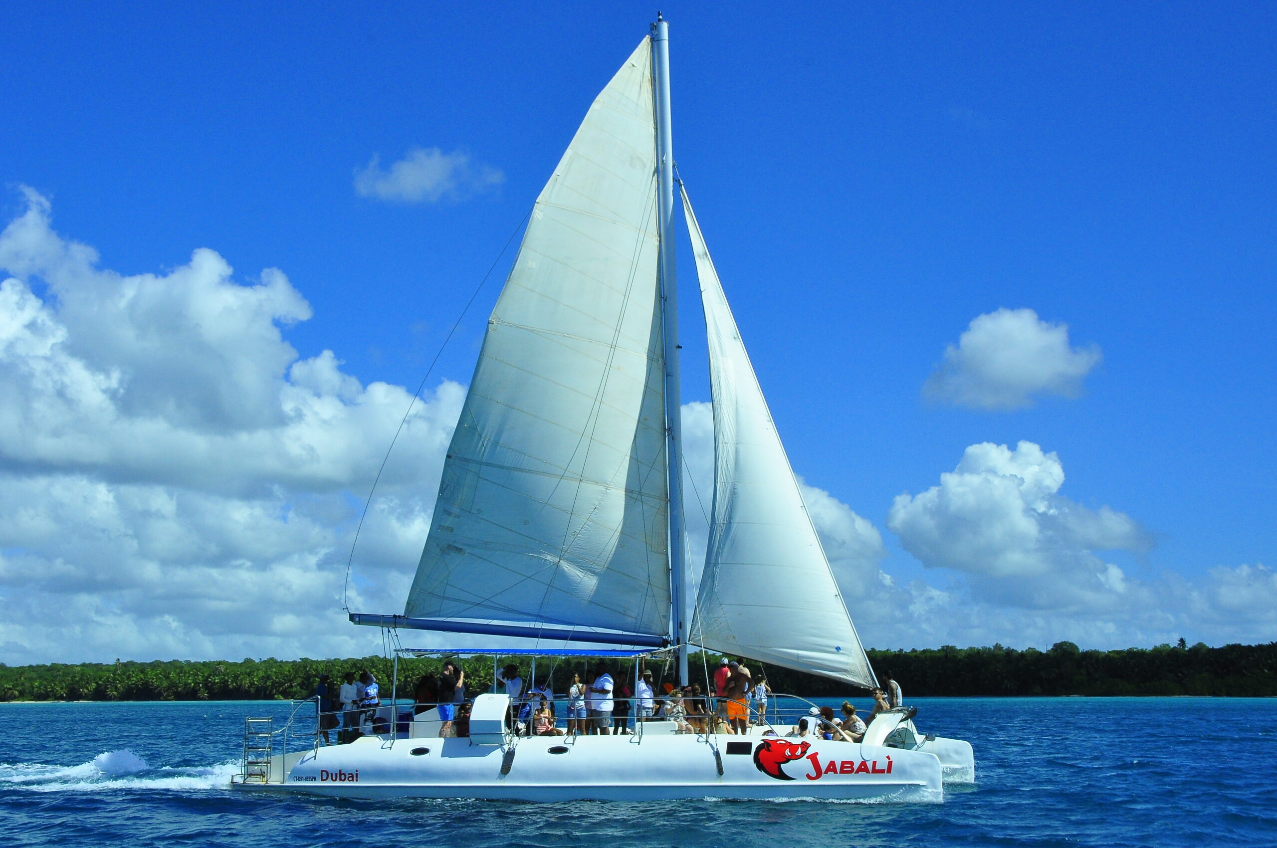 Isla Saona for Solo Travelers: Everything You Need to Know