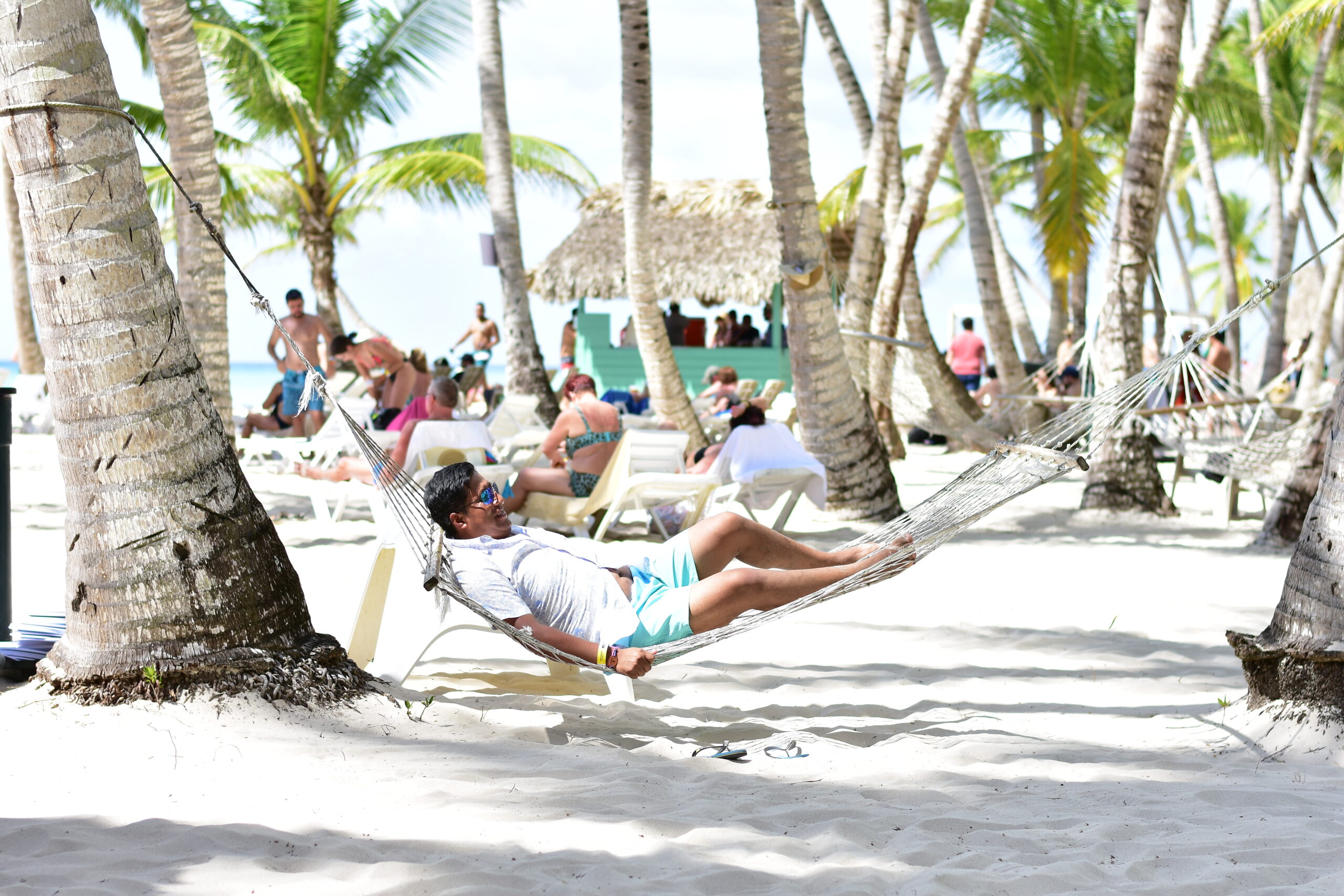 About Saona Island, what Verified Reviews Say