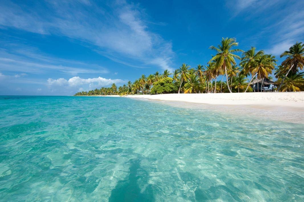 Isla Saona Whale Watching Season: February and March Wonders
