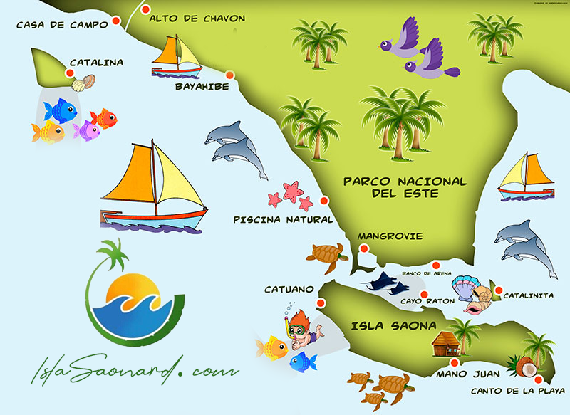 Isla Saona Sea Floor: What Lies Beneath the Caribbean