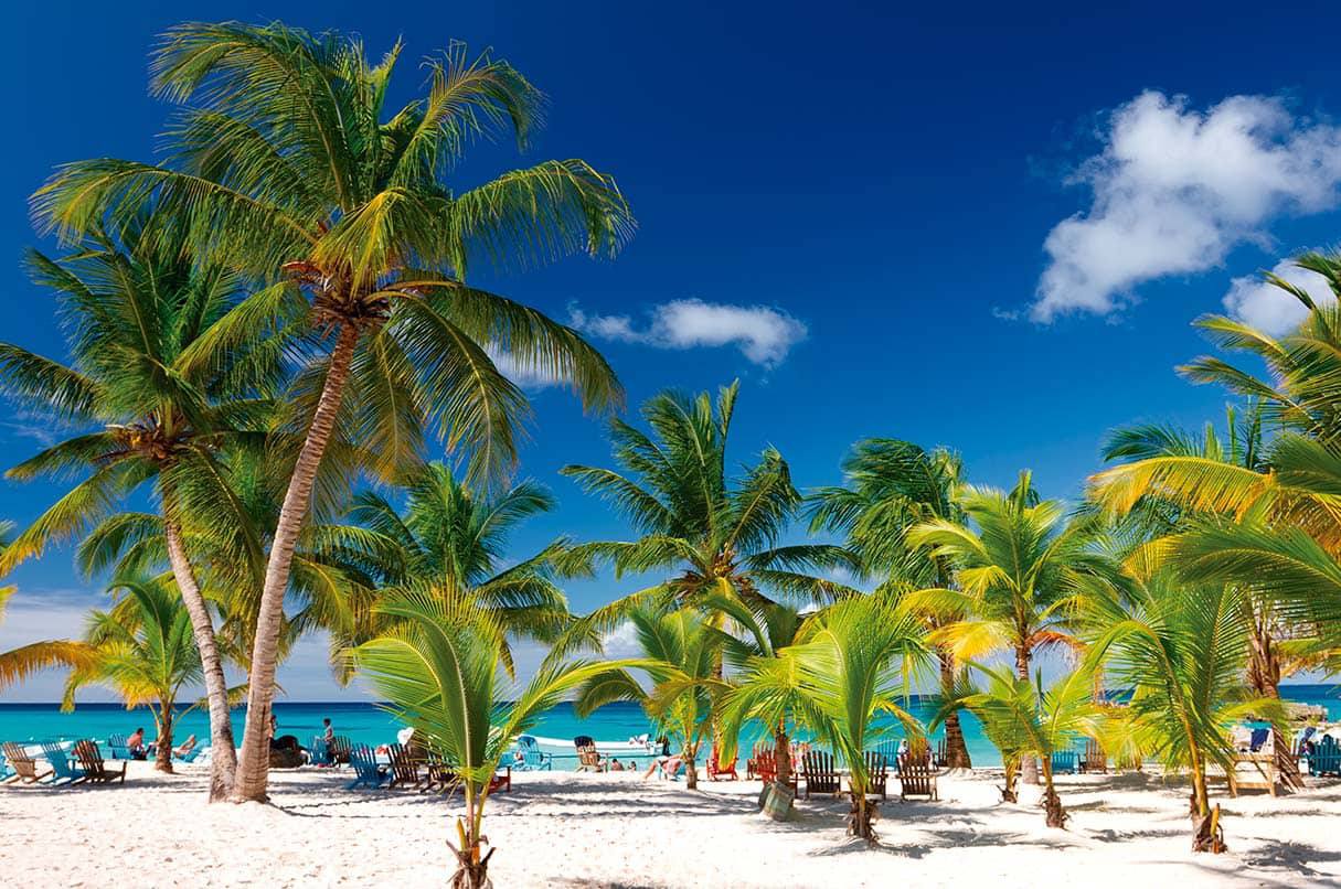 Catalina Island Dominican Republic: Your Complete Guide to Isla Catalina