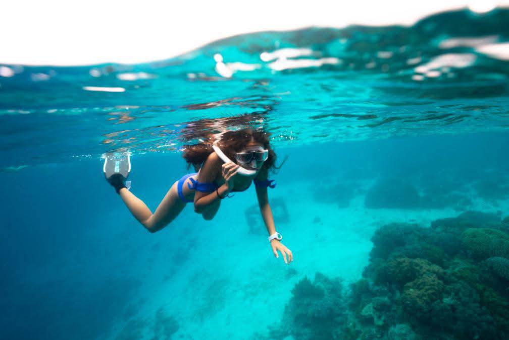 Snorkeling at Catalina Island: Everything You Need to Know Before You Go