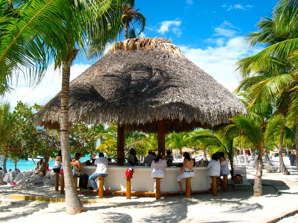 Saona Island